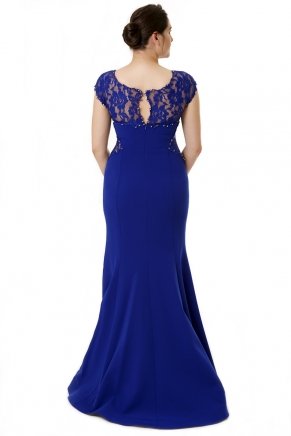Parlıament Blue Long Big Size Short Sleeve Evening Dress Y6243