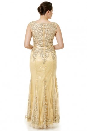 Gold Long Small Size Sleeveless Evening Dress Y6471